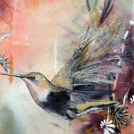 Colibri