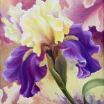iris
